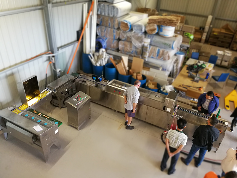 301A Egg Processing Line in Australia in 2017