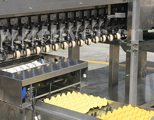 Egg Packing Machine