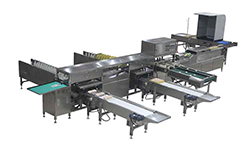 104A Egg Grader