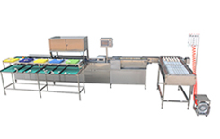 104B Egg Grader
