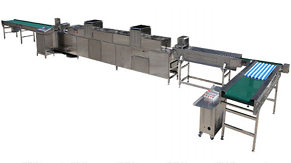 202A Egg Washer