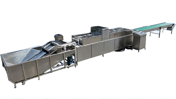 203B Egg Washer