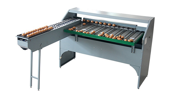 101A Egg Grader (4,000 EGGS/HOUR)