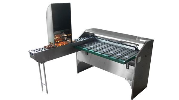101B Egg Grader (4,000 EGGS/HOUR)