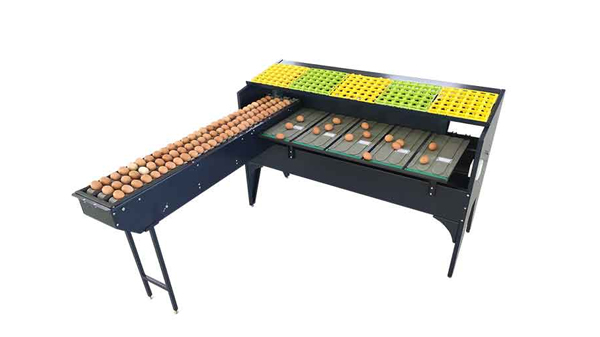102A Egg Grader (5,400 EGGS/HOUR)