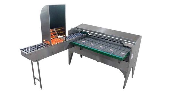 102B Egg Grader (5,400 EGGS/HOUR)