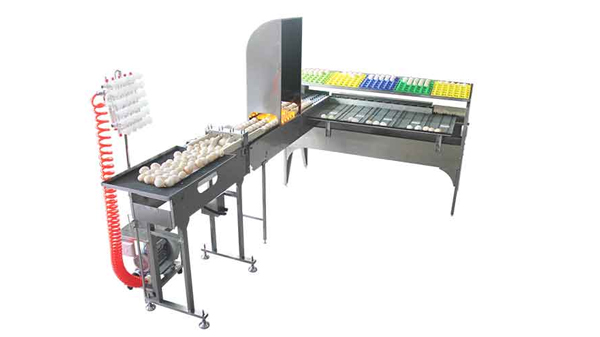 102BS Egg Grader (5,400 EGGS/HOUR)