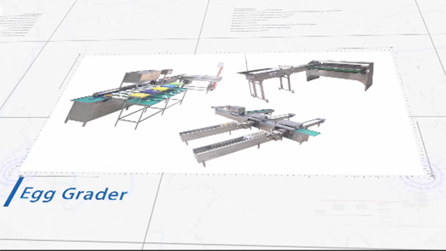 Egg Grader