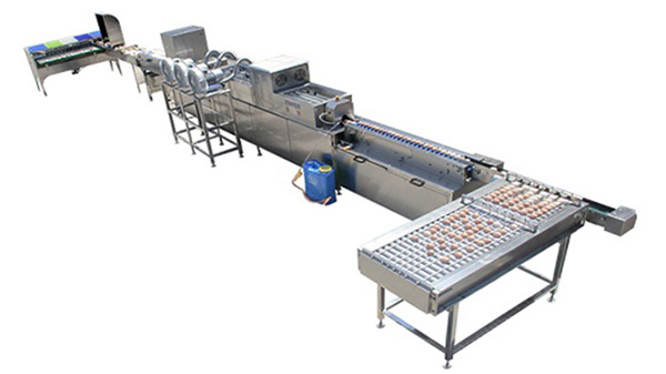 301A Egg Processing Line