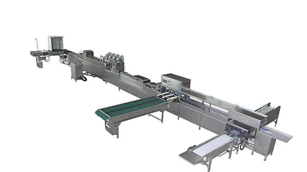 302A Egg Processing Line