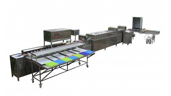 302AS Egg Processing Line