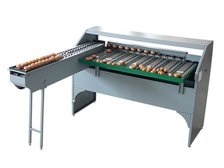 101A Egg Grader