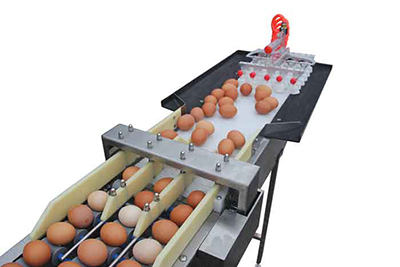 Egg loading