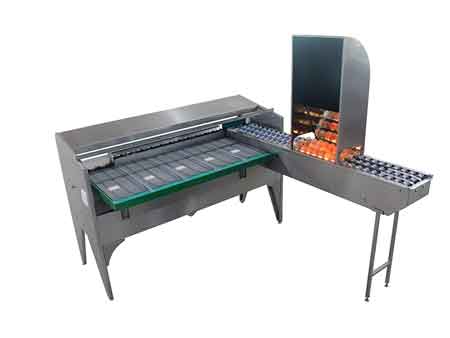 102B  Egg Grader