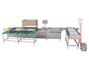 104B type Egg Grader