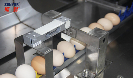 Vacuum egg lifter & accumulator (includes candling)