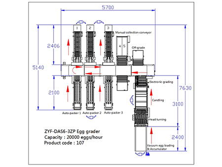 107 Egg Grader
