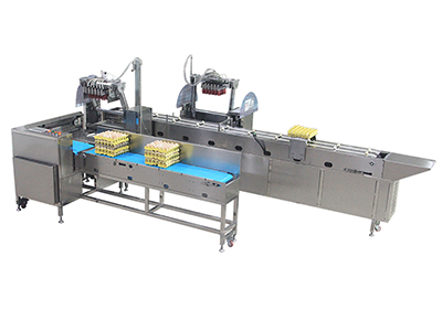 Egg accumulator