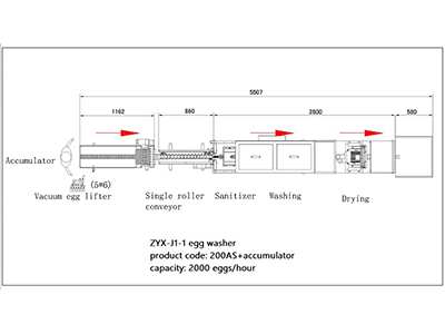 200AS Egg Washer