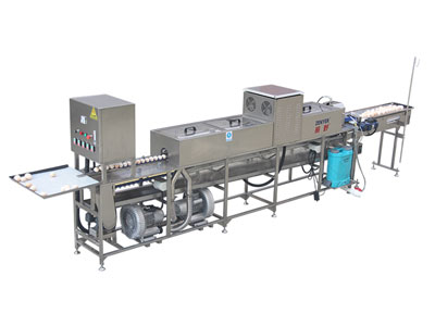 200A Egg Washer