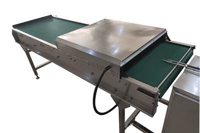 Printing (Option)