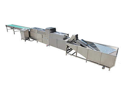 202B  Egg Washer