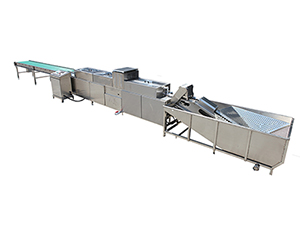 202B Egg Washer