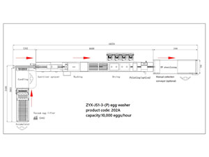 202A Egg Washer