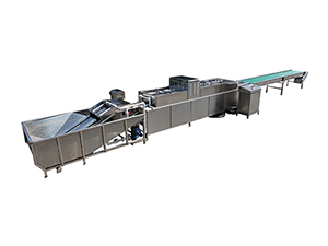 203B Egg Washer