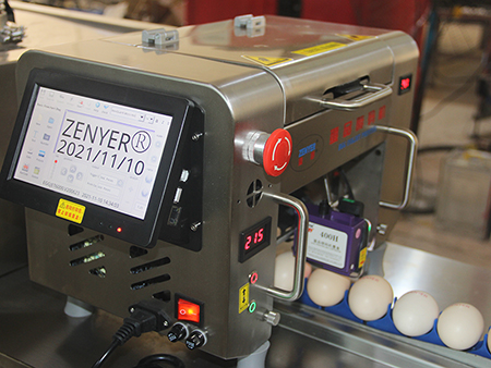 401H Egg Printer