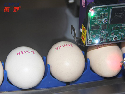 401H Egg Printer