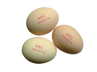 401H Egg Printer