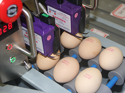 402H Egg Printer