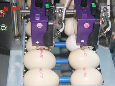 402H Egg Printer