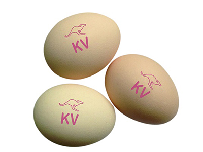 402H Egg Printer