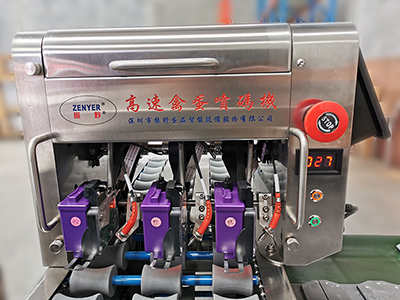 403H Egg Printer