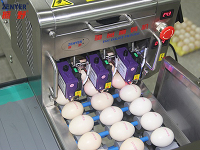 403H Egg Printer