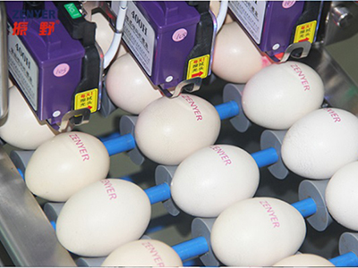 403H Egg Printer