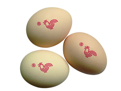 403H Egg Printer