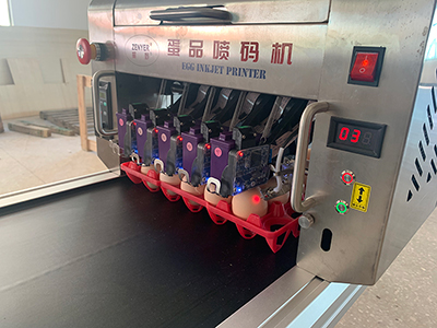 405HS Egg Printer
