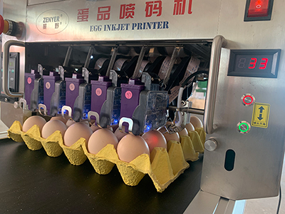 405HS Egg Printer