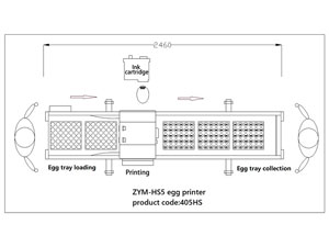405HS Egg Printer