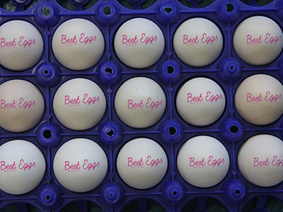 405HS Egg Printer