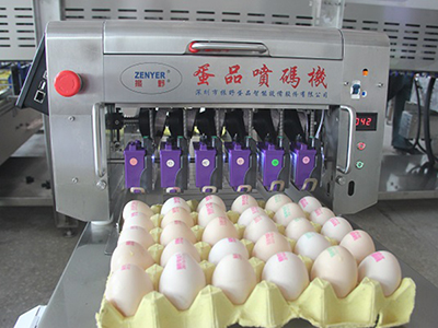 405HS Egg Printer