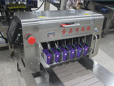 405HS Egg Printer