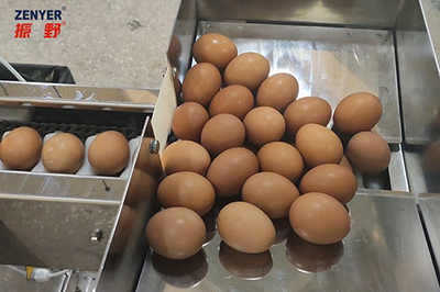 501A Egg Breaking and Separating Machine