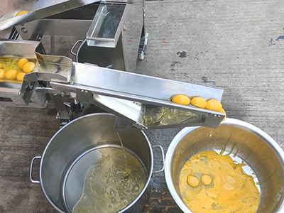 501A Egg Breaking and Separating Machine