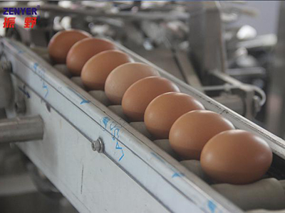 501B Egg Breaking and Separating Machine