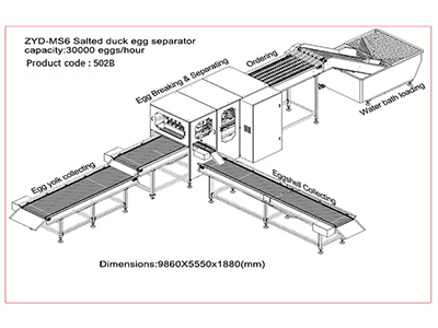 502B salted duck egg separator