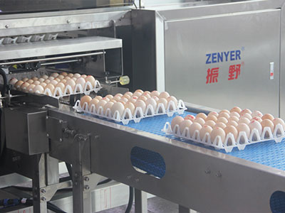 Auto packer (for 5*6 tray only)